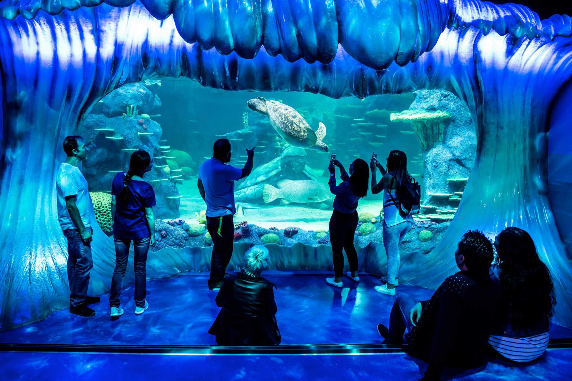 Sealife Aquarium