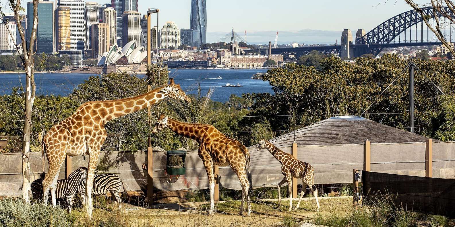 Taronga Zoo